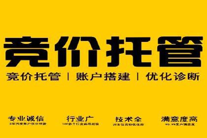 行业内的SEM竞价策略与效果对比案例